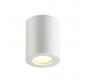 Накладной светильник Odeon Light Aquana 3571/1C
