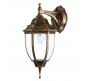 Уличный светильник Arte Lamp Pegasus A3152AL-1BN