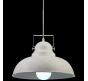 Подвесной светильник Arte Lamp Martin, A5213SP-1WG