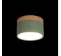Накладной светильник Loft IT Grape 10162 Green