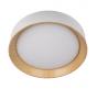Потолочный светильник Loft IT Coin 10202 White